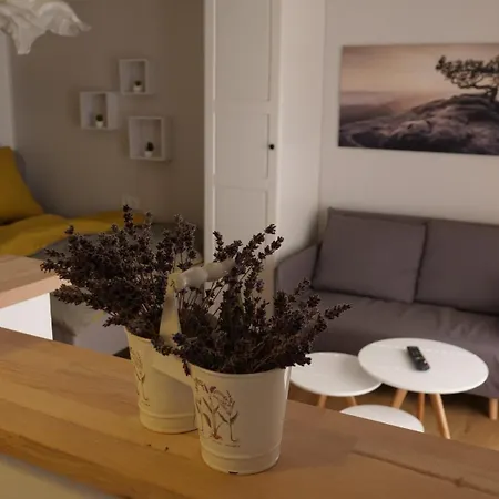 Апартаменты Gottleubapark Ii Пирна